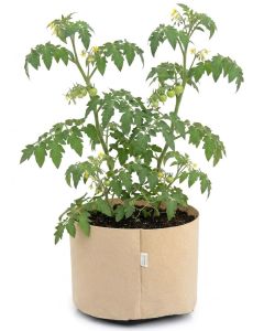 247Garden 2-Gallon Basic Aeration Tan Fabric Pot/Plant Grow Bag (200GSM BPA-Free Fabric, 7.5H x 8.5D)