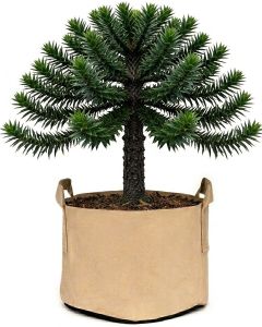 247Garden 30-Gallon Aeration Fabric Pot/Plant Grow Bag w/Handles (Tan w/Black Base 15.5H x 24D)