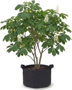 247Garden 30-Gallon Aeration Fabric Pot/Plant Grow Bag w/Handles (Black 15.5H x 24D)