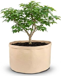 247Garden 30-Gallon Basic Aeration Tan Fabric Pot/Plant Grow Bag (200GSM BPA-Free Fabric, 15.5H x 24D)