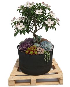 247Garden 40-Gallon Aeration Fabric Pot/Plant Grow Bag w/Handles (Black 17H x 26.5D)