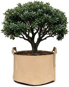 247Garden 40-Gallon Aeration Fabric Pot/Plant Grow Bag w/Handles (Tan w/Black Base 17H x 26.5D)