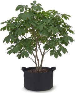 247Garden 40-Gallon Aeration Fabric Pot/Plant Grow Bag w/Handles (Black 17H x 26.5D)