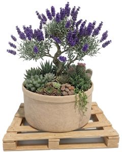 247Garden 40-Gallon Basic Aeration Tan Fabric Pot/Plant Grow Bag (200GSM BPA-Free Fabric, 17H x 26.5D)