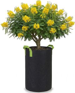247Garden 50-Gallon Tall Aeration Fabric Pot/Tree Grow Bag (Black w/Green Handles 34H x 21D)