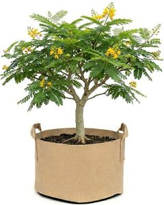 247Garden 50-Gallon Eco-Friendly Aeration Fabric Pot/Plant Grow Bag w/Handles (300GSM Tan w/Black Base 17H x 31D)