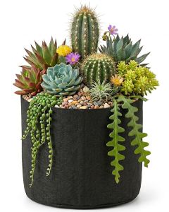 247Garden 5-Gallon Basic Black Fabric Pot 200GSM No Handles 10H x 12D BPA-Free