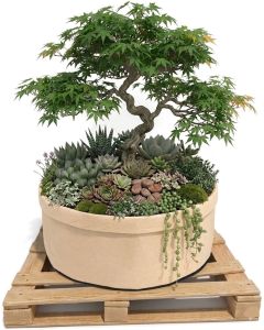 247Garden 65-Gallon Basic Aeration Tan Fabric Pot/Plant Grow Bag (200GSM BPA-Free Fabric, 18H x 33D)