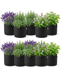 10-Pack 247Garden 5-Gallon Basic Black Fabric Pots/Grow Bags 200GSM No Handles 10H x 12D BPA-Free