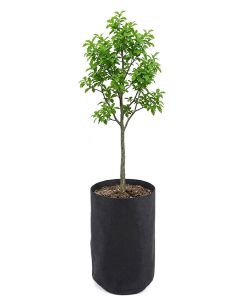 247Garden 7-Gallon Basic Tall Fabric Pot/Aeration Plant Grow Bag 200GSM Black 17H x 11D