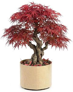 247Garden 7-Gallon Basic Aeration Tan Fabric Pot/Plant Grow Bag (200GSM BPA-Free Fabric, 12H x 13D)