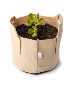 247Garden Lucky Money Bonsai Tree Kit w/1-Gallon Tan Aeration Fabric Pot+Handles (Included 1pc Baby Jade Succulent Plant Cutting 3-4" +BPA-Free Breatheable Grow Bag) - No Soil Incl. w/100% Satisfaction Guaranteed