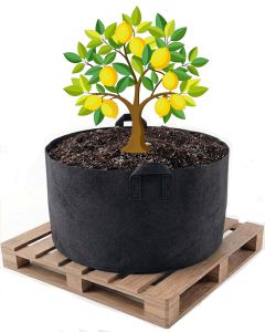 247Garden 80-Gallon Aeration Fabric Pot/Plant Grow Bag/Raised Garden Bed w/Handles (300GSM Black 18H x 36.5D)