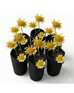 6-Pack 1/4-Gallon Skinny Tall Black Fabric Pots/Deep Aeration Grow Bags 3D x 8H w/Adjustable Height