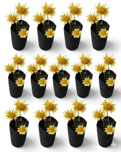 Wholesale 1100pcs/Box 1/4-Gallon Skinny Tall Black Fabric Pots/Aeration Grow Bags 3D x 8H w/Adjustable Height