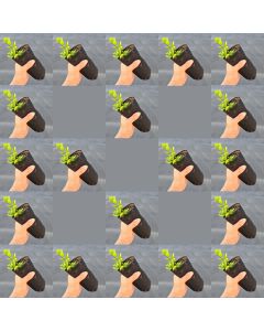 247Garden 1/4-Gallon Skinny Tall Black Fabric Pot/Aeration Grow Bag 3D x 8H Ideal for Deep Root Plants 20-Pack