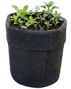 247Garden 1/2 Gallon Basic Aeration Fabric Pot/Plant Grow Bag (Black Color, 200GSM, 6H x 5D)