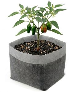 247Garden 1-Gallon OG Starter Plant Grow Bag White 60GSM Aeration Fabric Pot BPA-Free 7D x 6H