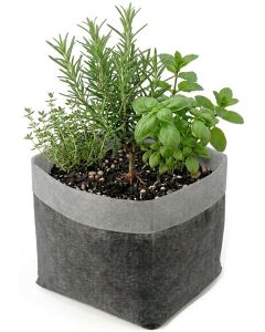 247Garden 1.5-Gallon OG Starter Plant Grow Bag White 60GSM Aeration Fabric Pot BPA-Free 8D x 7H