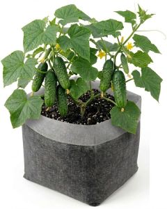 247Garden 3-Gallon OG Starter Plant Grow Bag White 60GSM Aeration Fabric Pot BPA-Free 10D x 9H