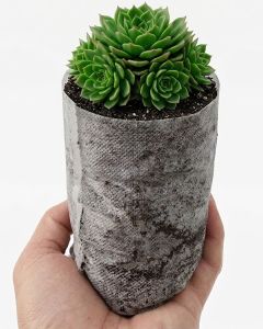 247Garden 6x8" 1/4-Gallon Aeration Seedling Pots/Nursery Fabric Plant Grow Bags (40GSM Non-Woven Eco-Friendly Fabric 6H x 3.5D 0.25-Gallon)