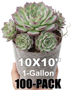 247Garden 100-Pack 10x10" 1-Gallon Aeration Seedling Pots/Nursery Fabric Plant Grow Bags/Covers/Filters (40GSM Non-Woven Eco-Friendly BPA-Free Fabric) Loaded Dimension 6D x 8H