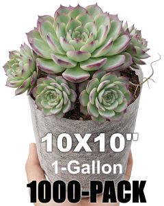 247Garden 1000-Pack 10x10" 1-Gallon Aeration Seedling Pot/Nursery Fabric Plant Grow Bag/Cover/Filter (40GSM Non-Woven Eco-Friendly Fabric) Loaded Dimension 6D x 8H