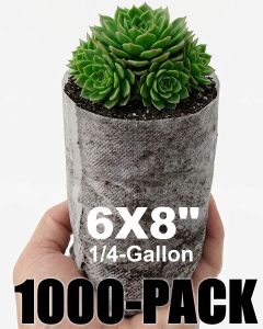 247Garden 1000-Pack 6x8" 1/4-Gallon Aeration Seedling Pots/Nursery Fabric Plant Grow Bags (40GSM Non-Woven Eco-Friendly Fabric ~6H x 3.5D 0.25-Gallon) w/Free USA Mainland Shipping
