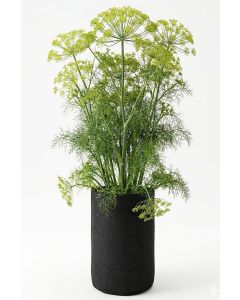 247Garden 5-Gallon Basic Tall Fabric Pot/Plant Grow Bag 200GSM Black 15H x 10D