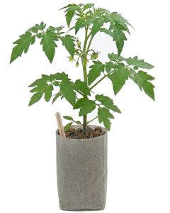 247Garden 1-Gallon Tall Starter Plant Grow Bag White 40GSM Aeration Fabric Pot BPA-Free 6D x 9H