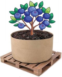 247Garden 80-Gallon Basic Aeration Tan Fabric Pot/Plant Grow Bag (200GSM BPA-Free Fabric, 18H x 36.5D)