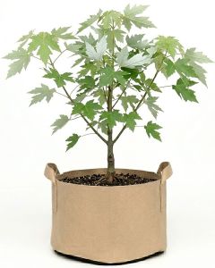 247Garden 25-Gallon Aeration Fabric Pot/Plant Grow Bag w/Handles (Tan w/Black Base 16.5H x 21D)