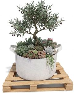 247Garden 40-Gallon Aeration Fabric Pot/Planting Grow Bag w/Handles (White w/Black Base 17H x 26.5D)