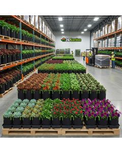 Wholesale 3-Gallon Tall Aeration Fabric Pots/Tree Grow Bags (Black w/Green Handles 12.5H x 8.5D) 220PC/BOX w/Free Shipping Mainland USA