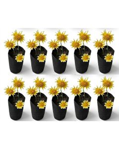 10-Pack 1/4-Gallon Skinny Tall Black Fabric Pots/Deep Aeration Grow Bags 3D x 8H