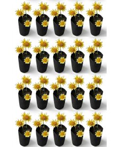 247Garden 1/4-Gallon Skinny Tall Black Fabric Pots/Aeration Grow Bags 3D x 8H Ideal for Deep Root Plants 20-Pack BPA-Free