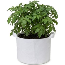 247Garden 15 Gallons Fabric Pot/Plant Grow Bag w/Handles (White)