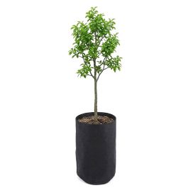 247Garden 7-Gallon Basic Tall Fabric Pot/Aeration Plant Grow Bag 200GSM Black 17H x 11D