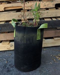 247Garden Original Tall Aeration Fabric Pot/Planters Grow Bags w/Handles 260GSM Black, Available Size in 1-40 Gallon