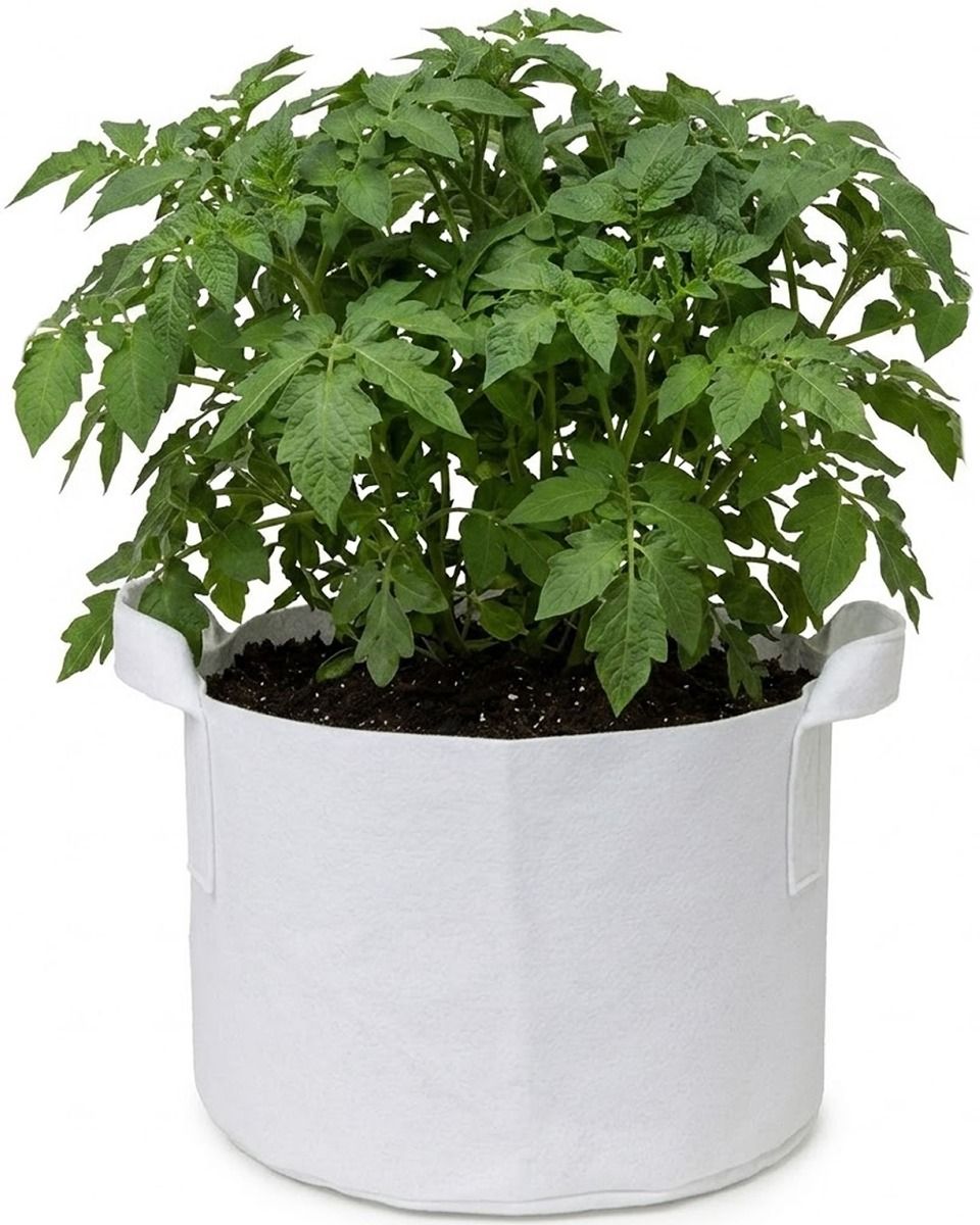247Garden 15 Gallons Fabric Pot/Plant Grow Bag w/Handles (White)