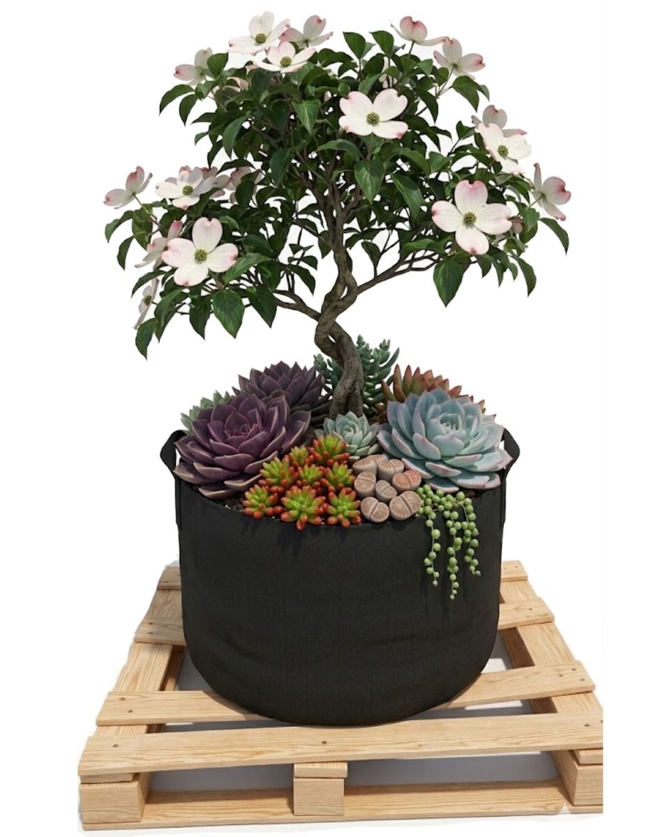 247Garden 40-Gallon Fabric Pot / Cloth Grow Bag / Garden Planter (Black) for Flowers and Trees