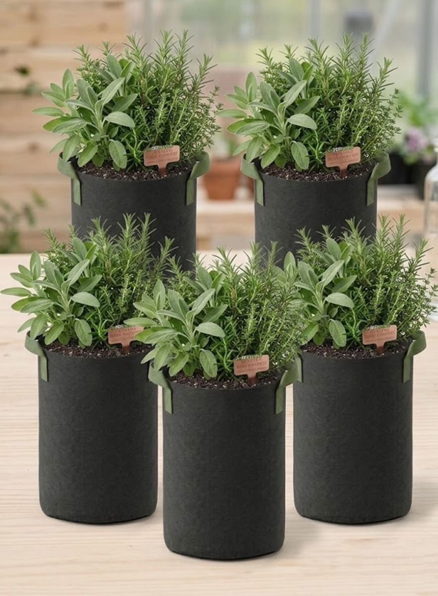 247Garden 7-Gallon Tall Aeration Fabric Pot/Tree Grow Bag (Black w/Green  Handles 17H x 11D) 5-Pack w/Free Shipping USA