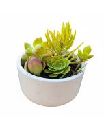 247Garden DIY 4" PVC Planters Pot with a Schedule 40 PVC CAP ***NO PLANTS, NO SOIL, PVC CAP ONLY***