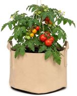 247Garden 10-Gallon Aeration Fabric Pot/Plant Grow Bag w/Handles (Tan w/Black Base 13H x 15D)