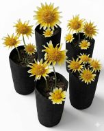 5-Pack 1/4-Gallon Skinny Tall Black Fabric Pots/Deep Aeration Grow Bags 3D x 8H