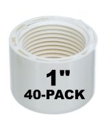40-Pk 1 in. SCH-40 Female-Threaded NPT Caps PVC Pipe Fittings NSF ASTM D2466