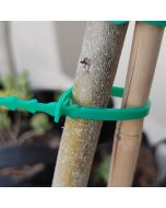 247Garden Plastic Plant Zip Tie Support 23CM