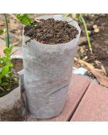 3200PC/Box Wholesale 1/2-Gallon Skinny Starter Plant Grow Bags White 40GSM Aeration Fabric Pots BPA-Free 4D x 10H + Free USA Mainland Shipping
