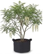 247Garden 20-Gallon Aeration Fabric Pot/Plant Grow Bag w/Handles (Black 16H x 19D)