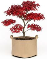 247Garden 20-Gallon Aeration Fabric Pot/Plant Grow Bag w/Handles (Tan w/Black Base 16H x 19D)